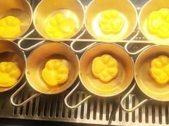 -野人部落(荷兰村店)