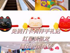 -红星美凯龙(上海沪南店)