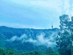 -梧桐山风景名胜区