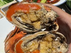-杨氏青龙虾·羊蝎子(金盛路总店)