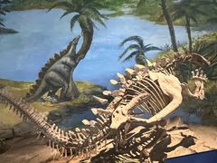 -自贡恐龙博物馆