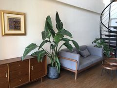 -仰生如卉推拿养生馆(酒仙桥店)