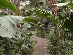 -呀路古热带植物园