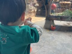 -石家庄市动物园