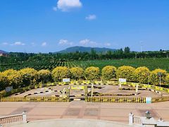 -北京张裕爱斐堡酒庄