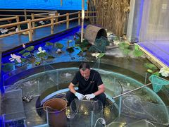 -火福·天湖阁大闸蟹博物馆主题餐厅(浅水湾店)