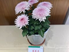 -汇龙潭