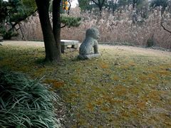 -山水间小院