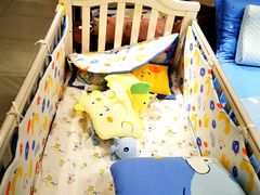 -Purcotton全棉时代(环宇城店)