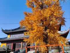 -上海青龙寺