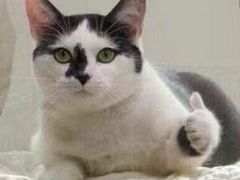 -luckincoffee瑞幸咖啡(香港名店街店)