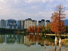 -飞来湖湿地公园