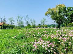 -良渚古城遗址公园