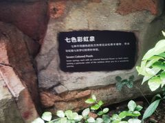 -海口观澜湖火山温泉谷