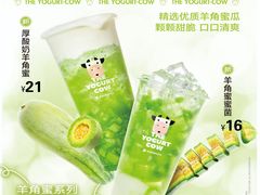 -一只酸奶牛(兰州中心店)