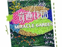 -上海奇迹花园