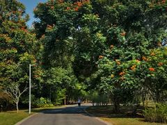 -中国科学院西双版纳热带植物园