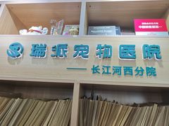 -瑞派长江宠物医院·猫科·外科·24小时夜护(谊城公寓分院)