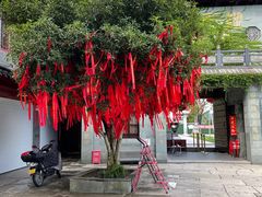 -东钱湖小普陀景区