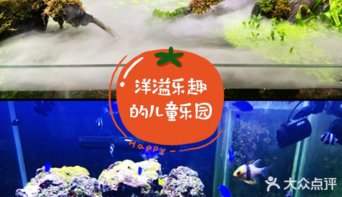 超萌态的动物乐园[糖果]