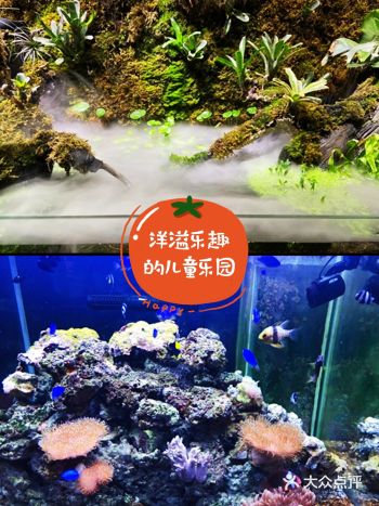 在周末，带孩子一起体验不容错过的遛娃圣地吧