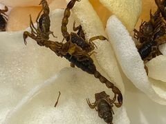 -晋阳饭庄(虎坊桥店)