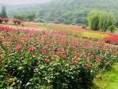 -龙寺生态园