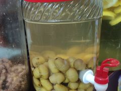 -金海椒罐罐鲢鱼(东方桂苑店)