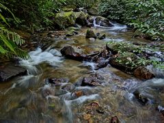 -莫里热带雨林景区
