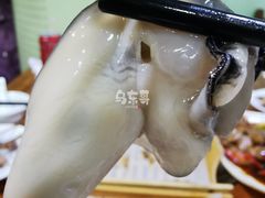 -大富蚝乌东哥饭店·石锅鱼杂·柠檬鸭(革新路店)