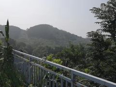 -梨木台悦来客农家院
