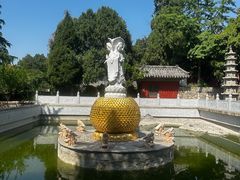 -普照寺