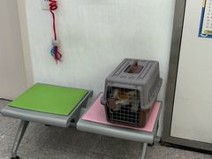-四月宠物医院·猫专科·心脏专科·内科(转塘店)