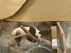 -香港海洋公园