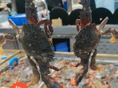 -半岛听涛蒸汽海鲜自助(K11店)