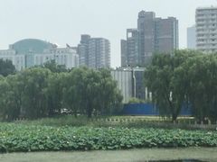 -唐廊烤鸭店(工体店)