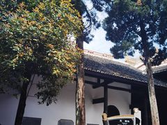 -白帝城·瞿塘峡景区