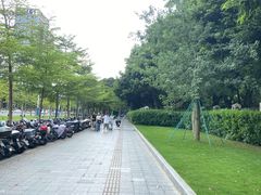 -番禺广场(市桥街道)