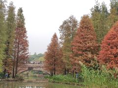 -云溪植物园