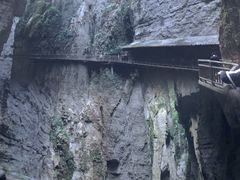 -武陵山森林公园