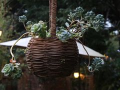 -新竹里馆·花园餐厅(兴苑路店)