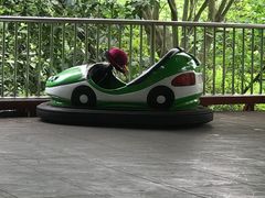 -杭州少年儿童公园