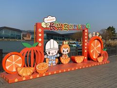 -上海长兴岛郊野公园