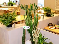 -隅乐胡椒虾·台湾菜·团建(皇岗店)