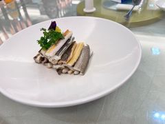 -新日月育才大酒店-中餐厅(环城北路店)