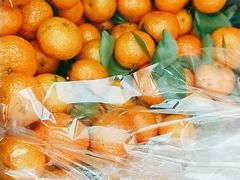 -新发地高碑店农副产品物流园