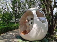 -鸽子窝公园