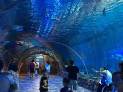 -华夏文旅海洋公园