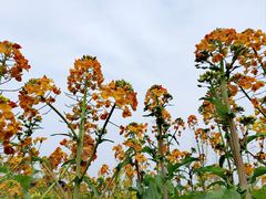 -中国天府农业博览园