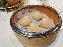 -詠春园